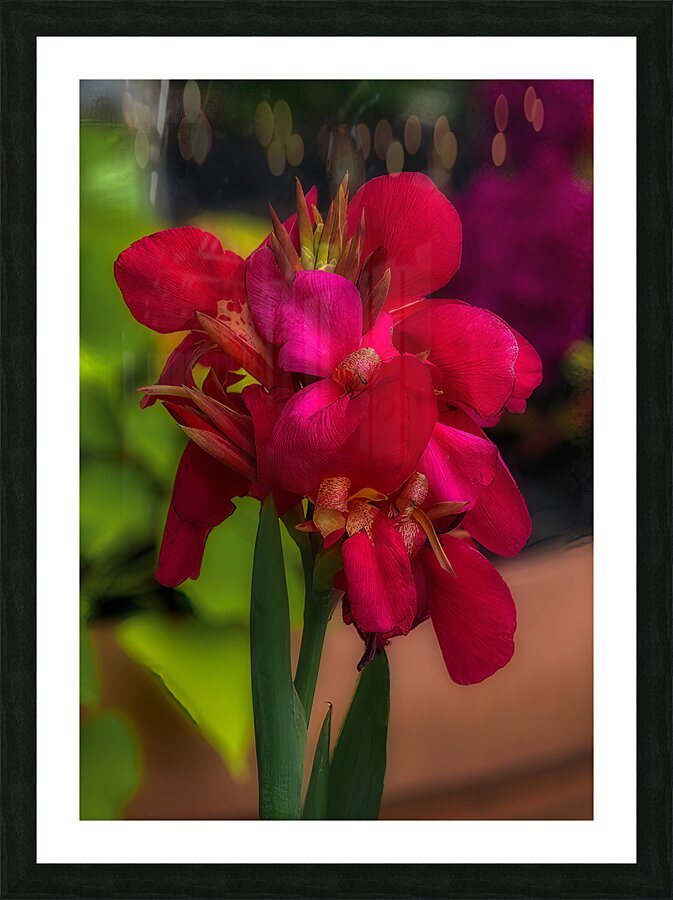 FLO 01802 Picture Frame print