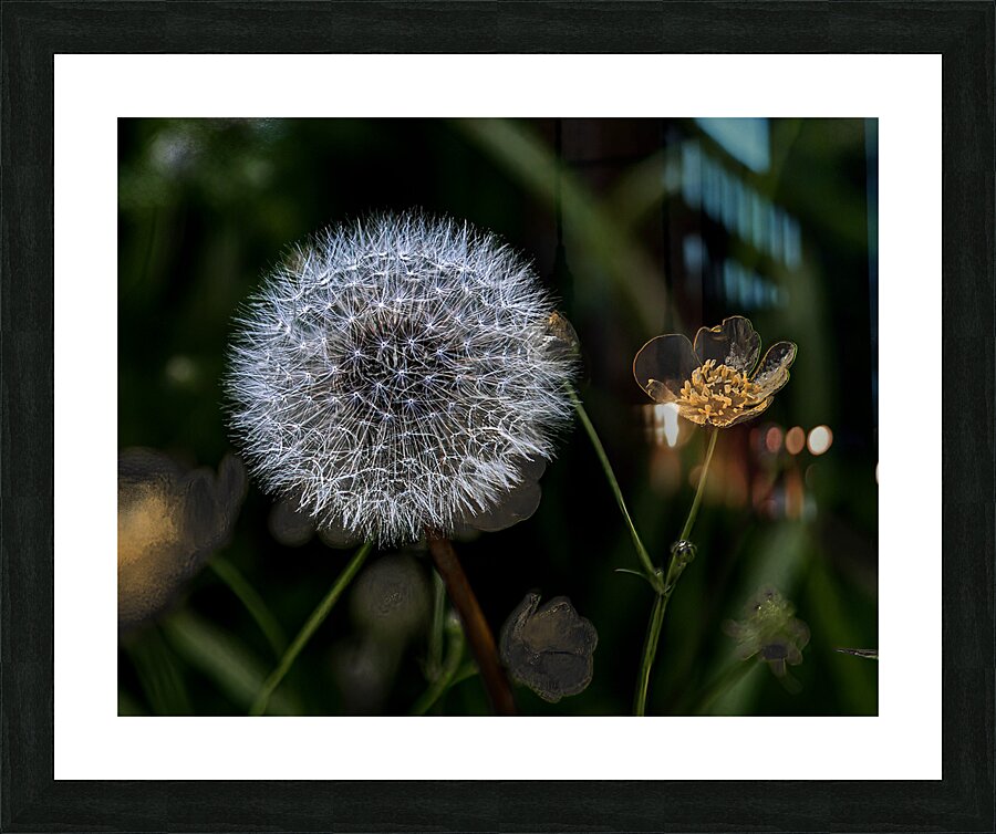 FLO 01805 Picture Frame print