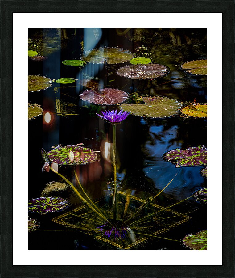 FLO 01820 Picture Frame print
