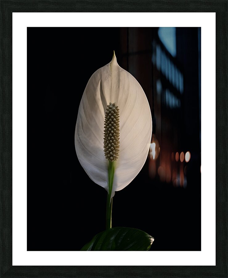 FLO 01767 Picture Frame print