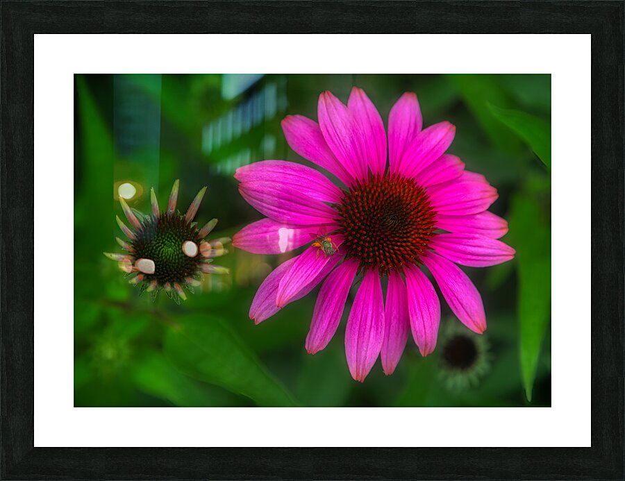 FLO 01782 Picture Frame print