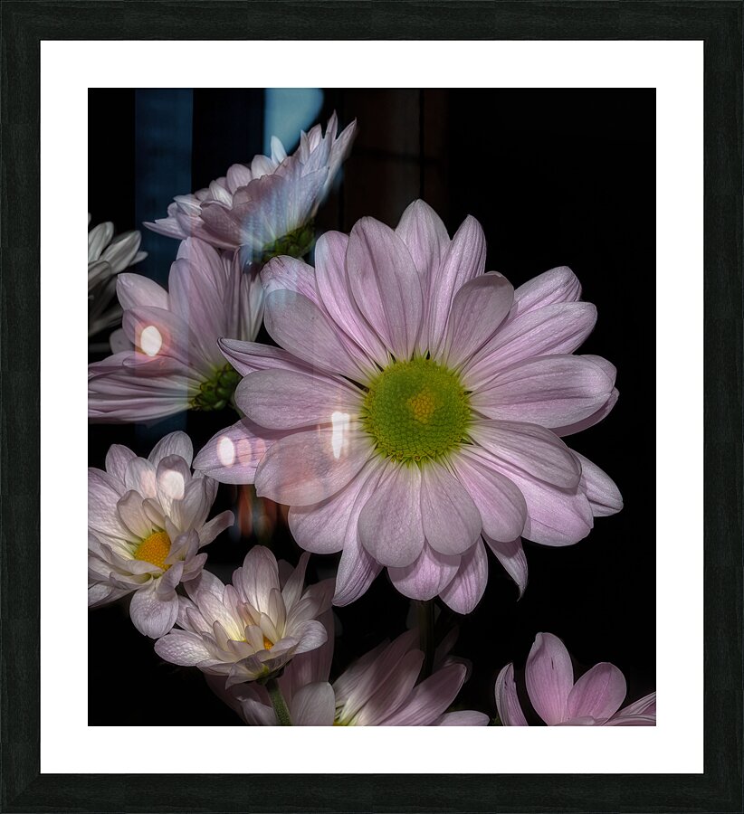 FLO 01761 Picture Frame print