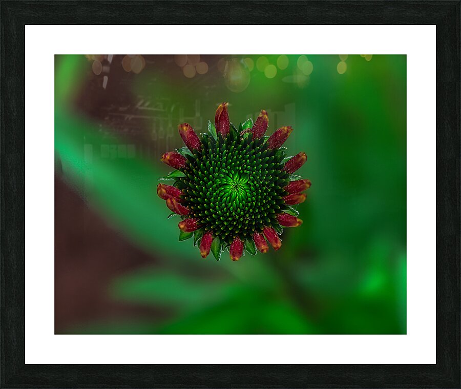 FLO 01785 Picture Frame print