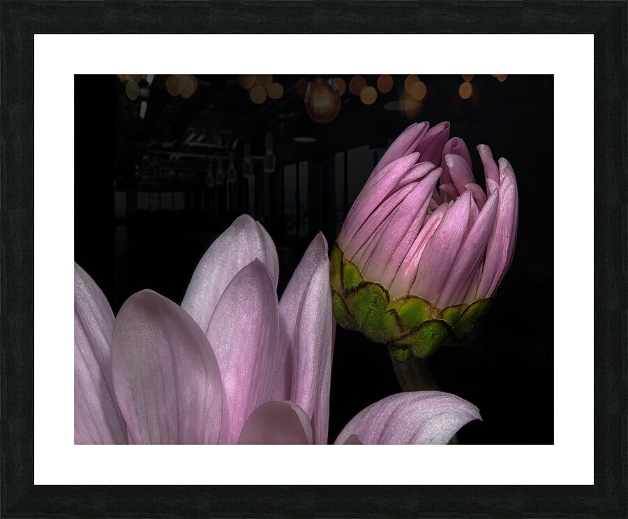 FLO 01765 Picture Frame print