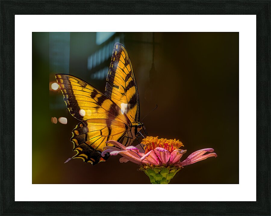 *INS 01824 Picture Frame print