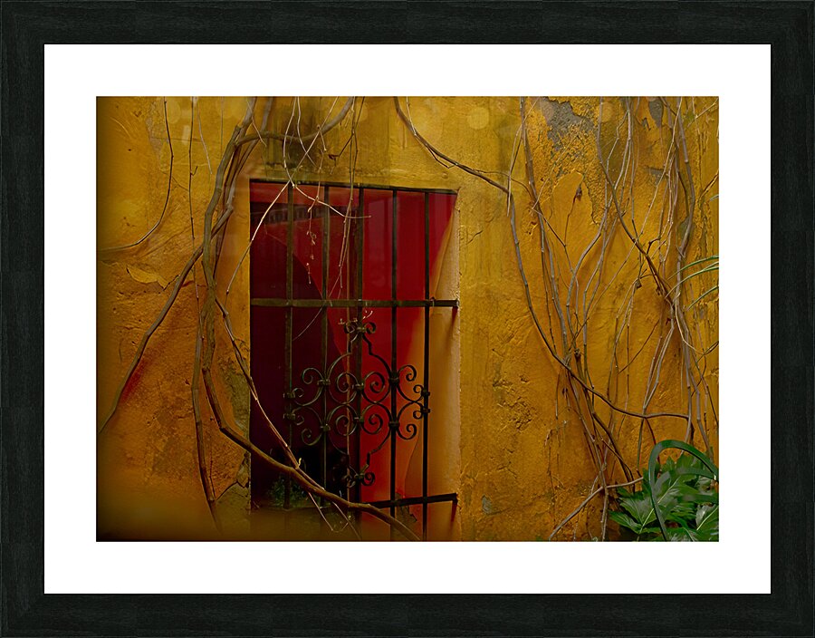 MIS 01935 Picture Frame print