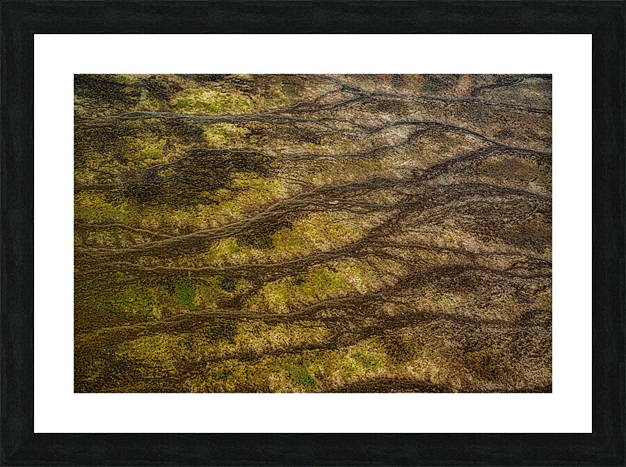 MIS 01918 Picture Frame print