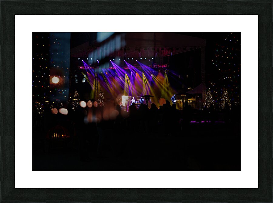 MIS 01919 Picture Frame print