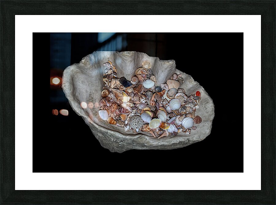 MIS 01902 Picture Frame print