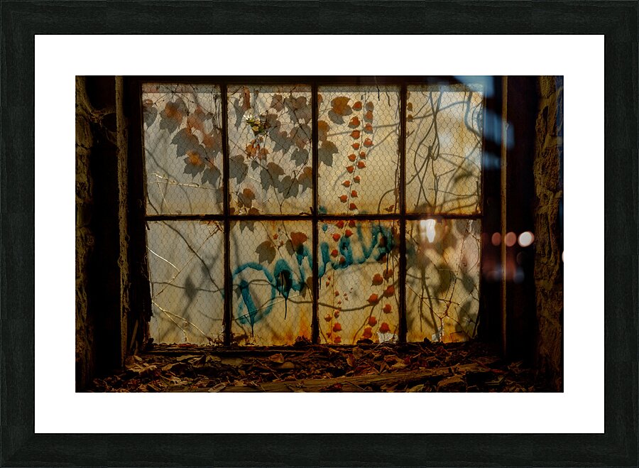 MIS 01929 Picture Frame print