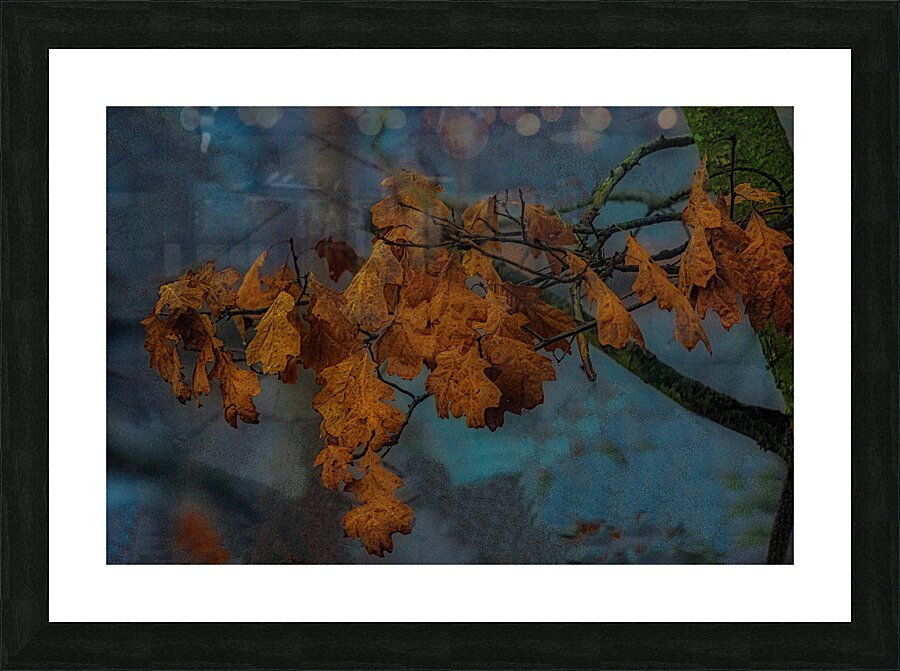 MIS 01916 Picture Frame print