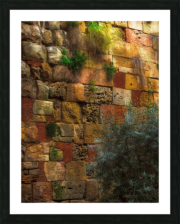 MIS 01925 Picture Frame print