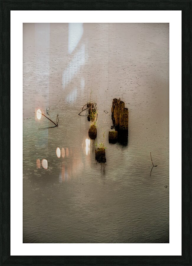 MIS 01930 Picture Frame print