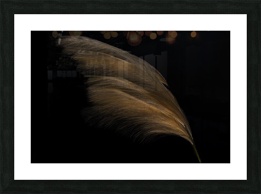 MIS 01903 Picture Frame print