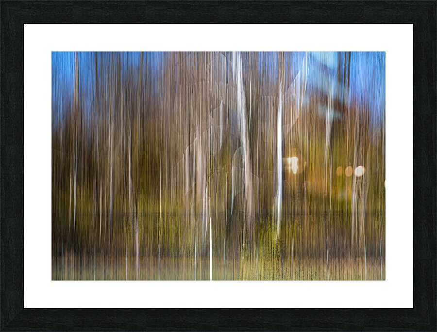 ABS 01971 Picture Frame print
