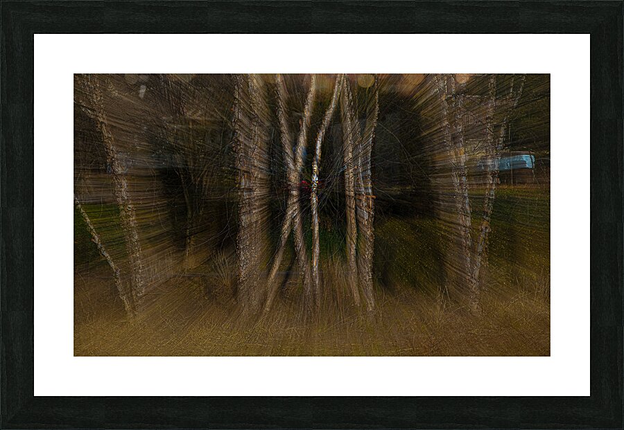 ABS 01995 Picture Frame print