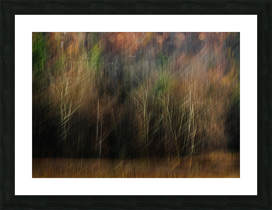 ABS 01968 Picture Frame print