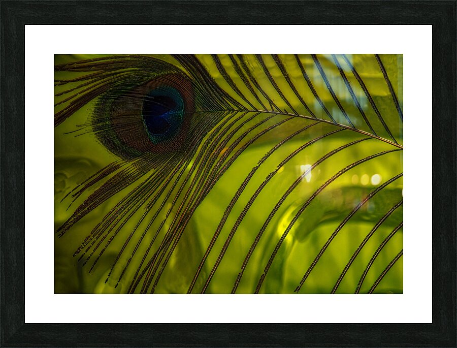 ABS 01960 Picture Frame print