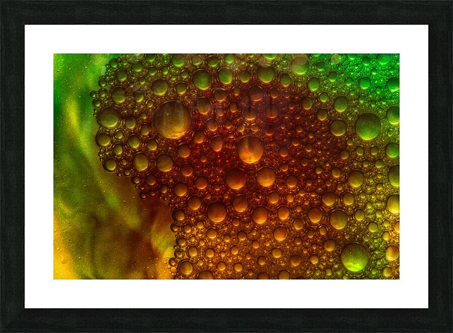 ABS 01951 Picture Frame print
