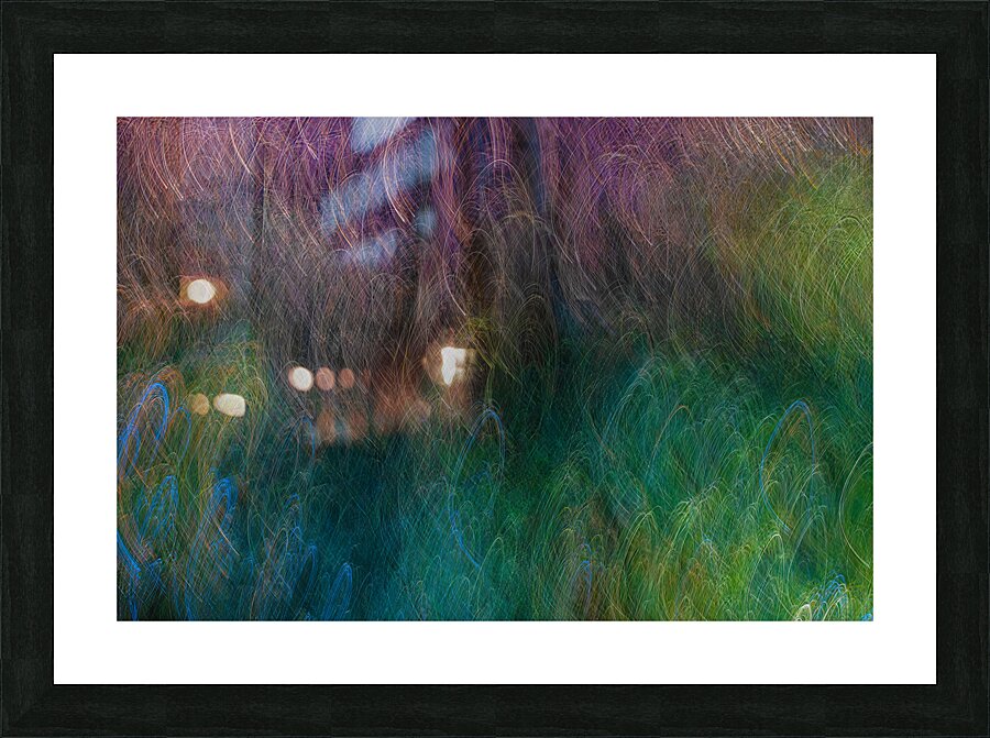 ABS 01983 Picture Frame print
