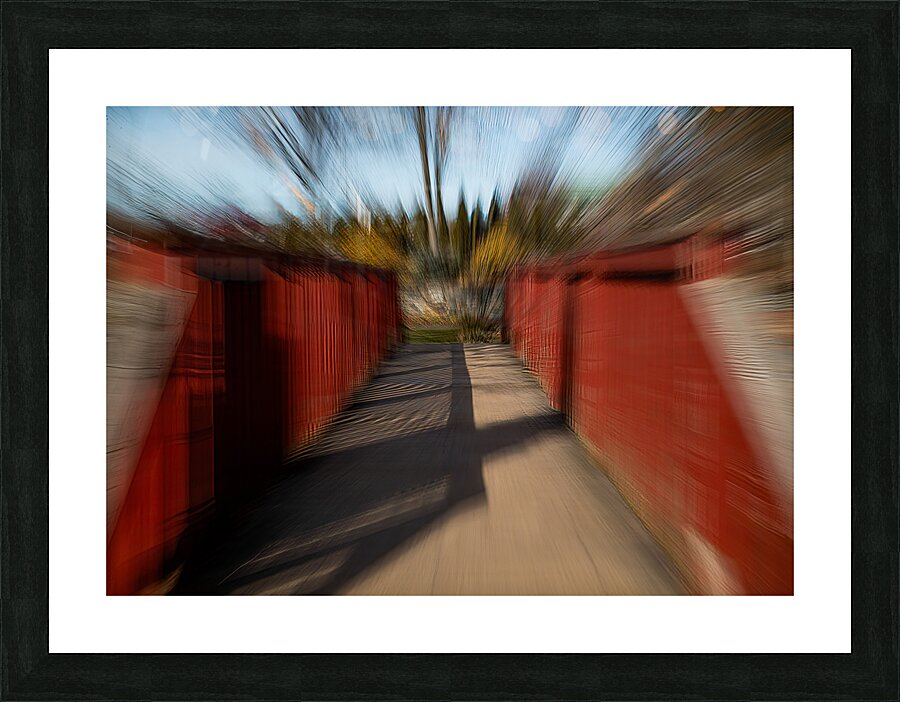 ABS 01996 Picture Frame print