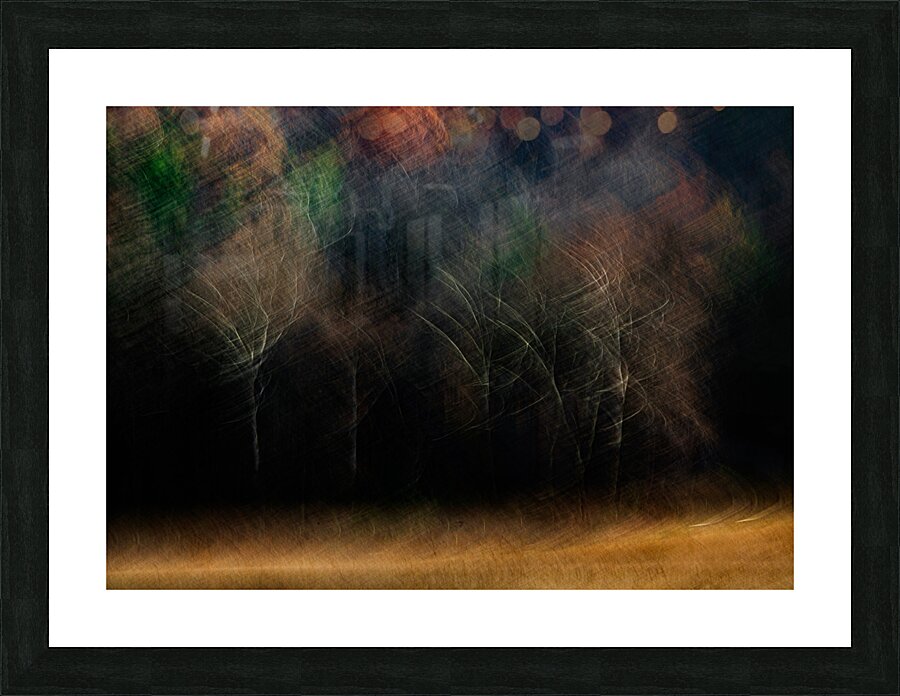 ABS 01967 Picture Frame print
