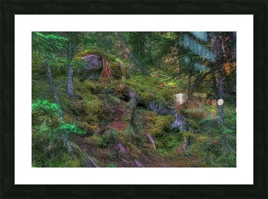 LAN 02047 Picture Frame print
