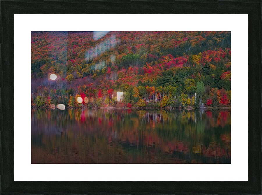 LAN 02081 Picture Frame print