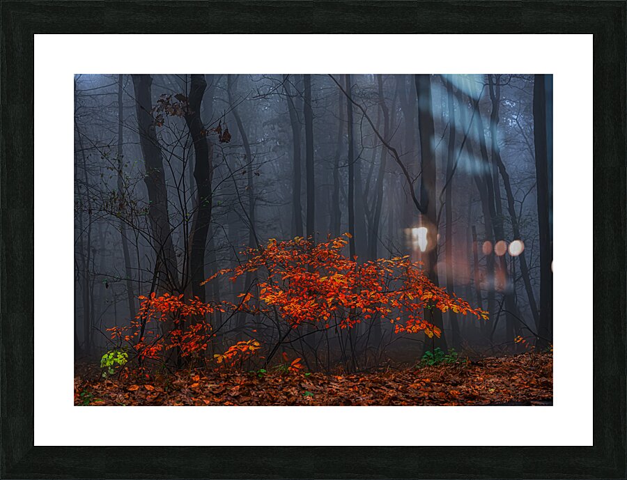 LAN 02068 Picture Frame print