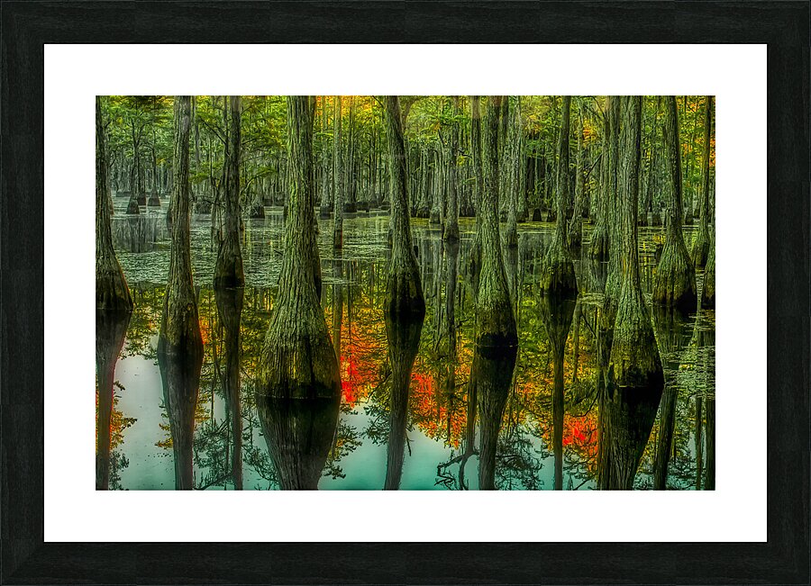 LAN 02090 Picture Frame print