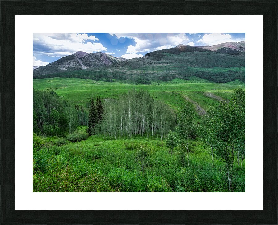 LAN 02073 Picture Frame print