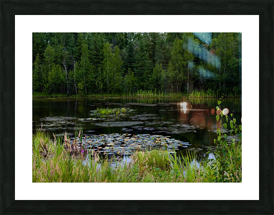 LAN 02065 Picture Frame print