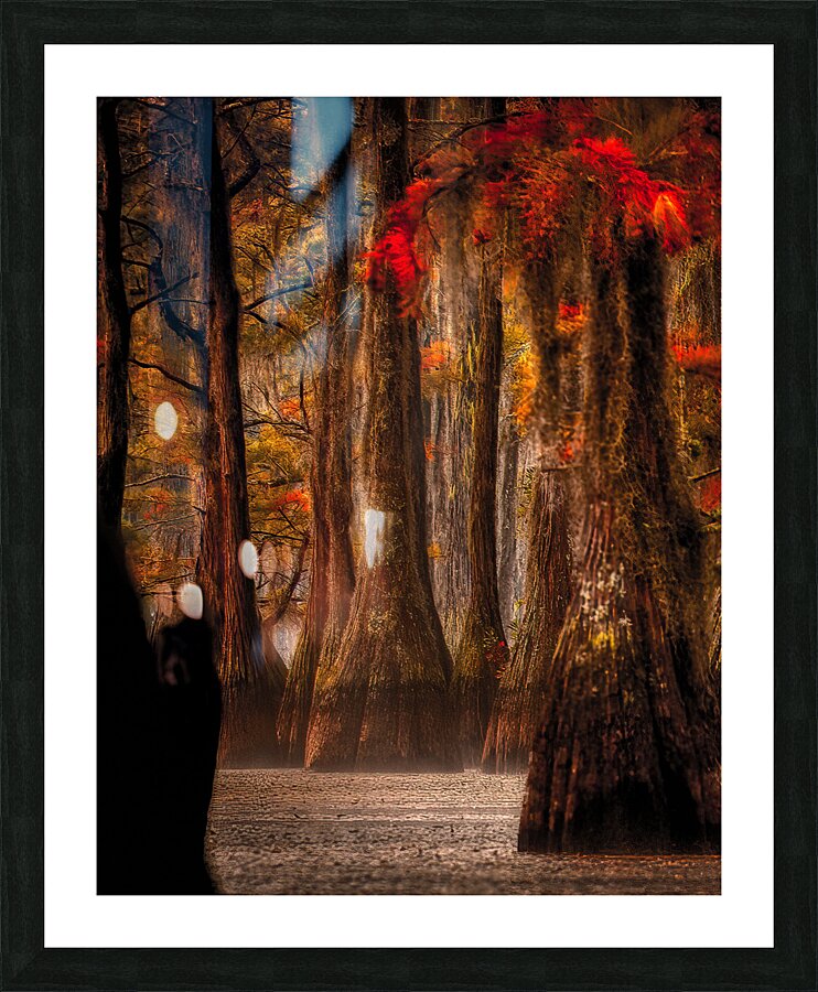 LAN 02088 Picture Frame print