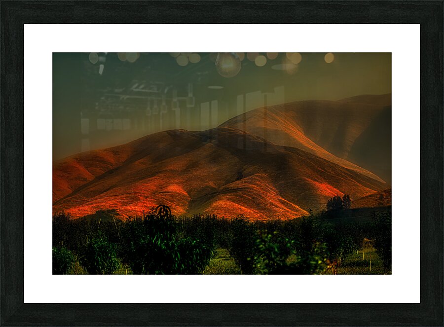LAN 02049 Picture Frame print