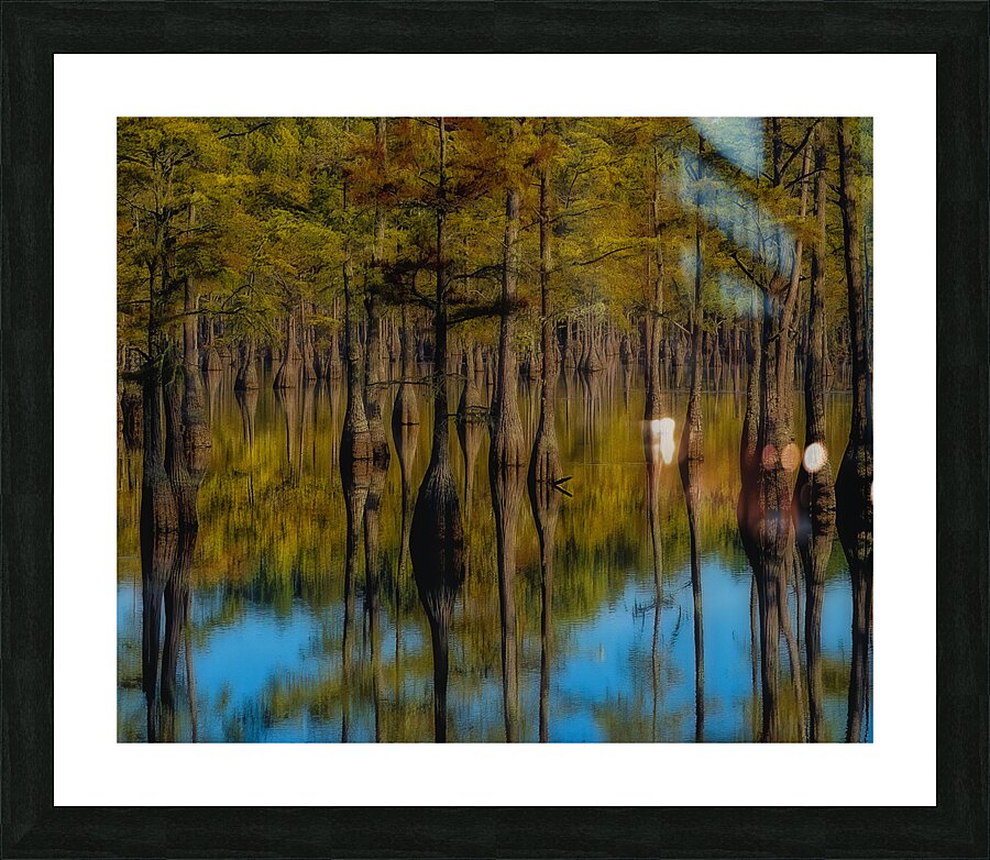 LAN 02091 Picture Frame print