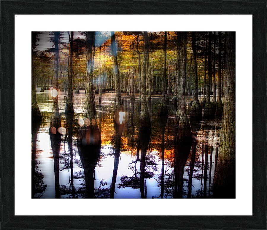 LAN 02089 Picture Frame print
