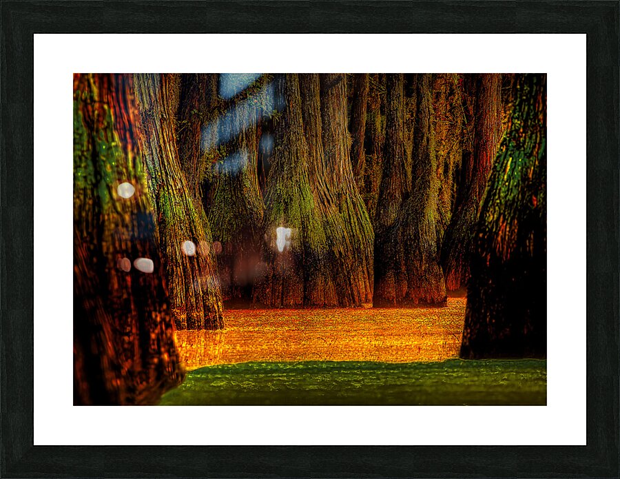 LAN 02087 Picture Frame print
