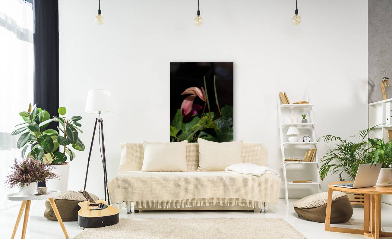 FLO 02286 Reproduction