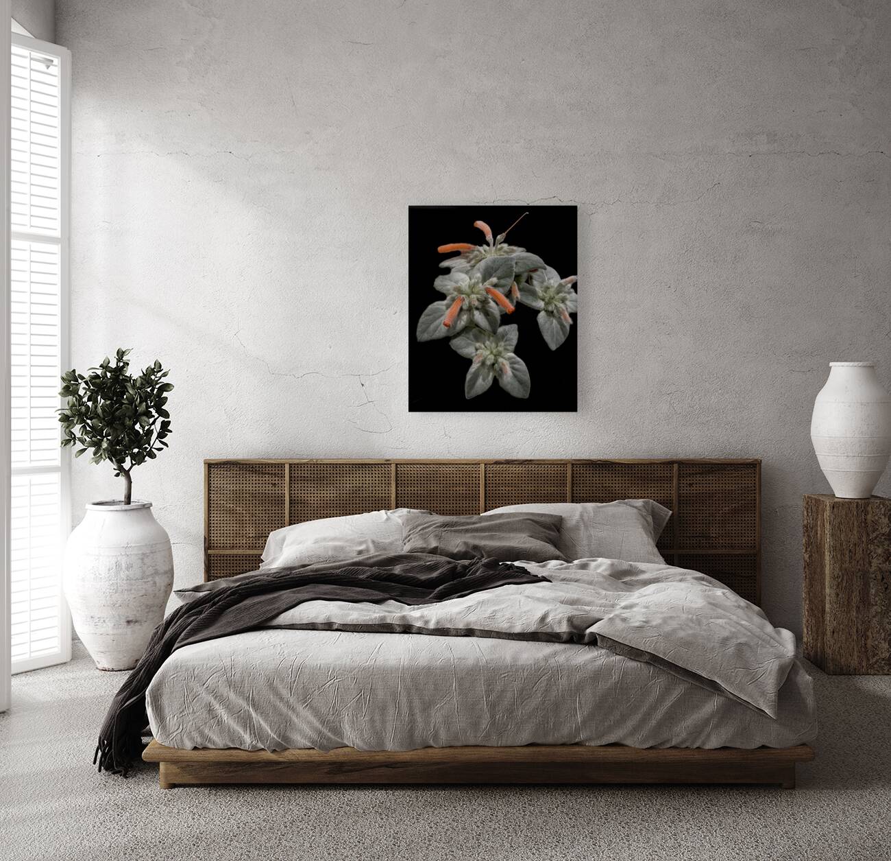 FLO 02272 Reproduction