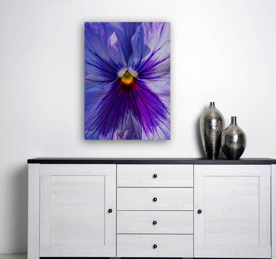 FLO 02154 Reproduction