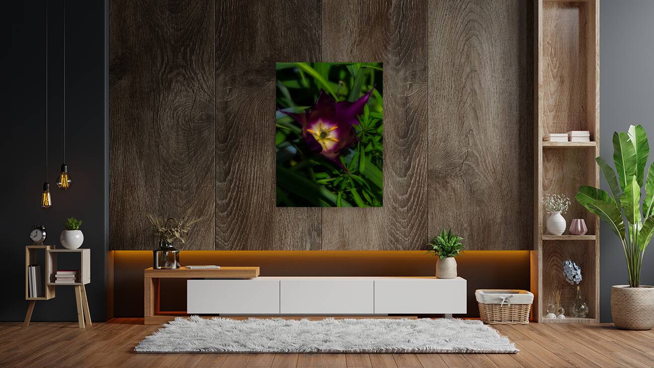 FLO 02207 Reproduction