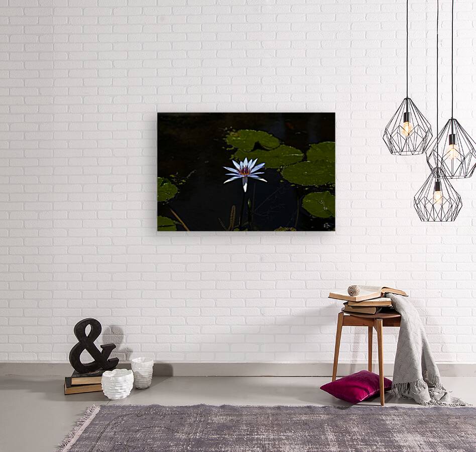 *FLO 02335 Reproduction