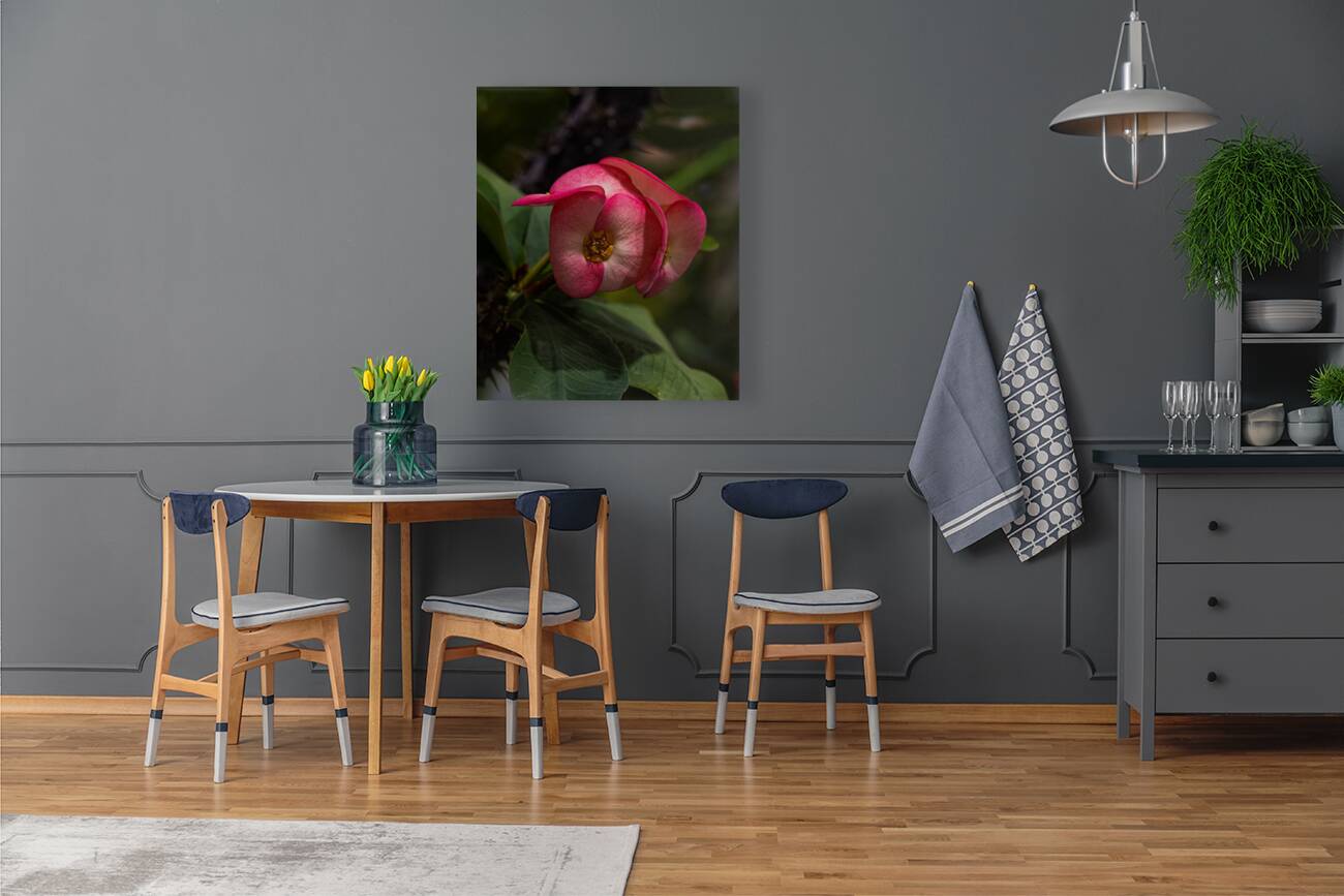 FLO 02275 Reproduction