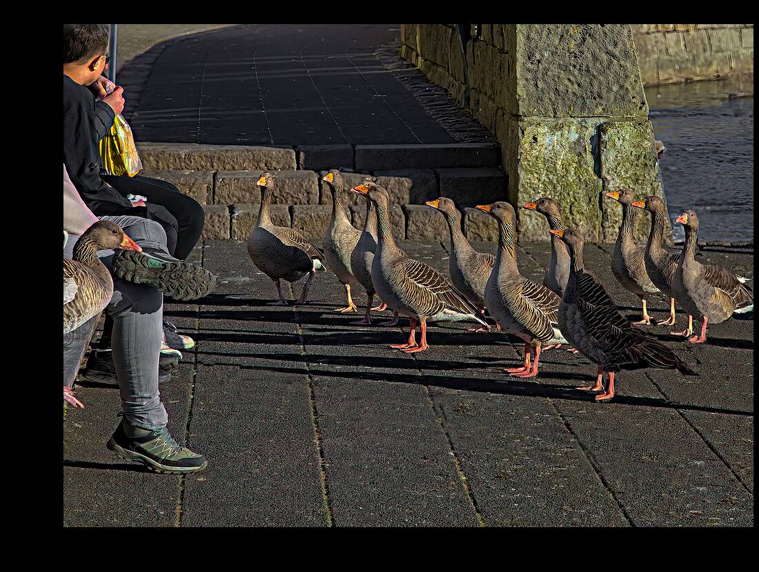 MIS 02144 Reproduction