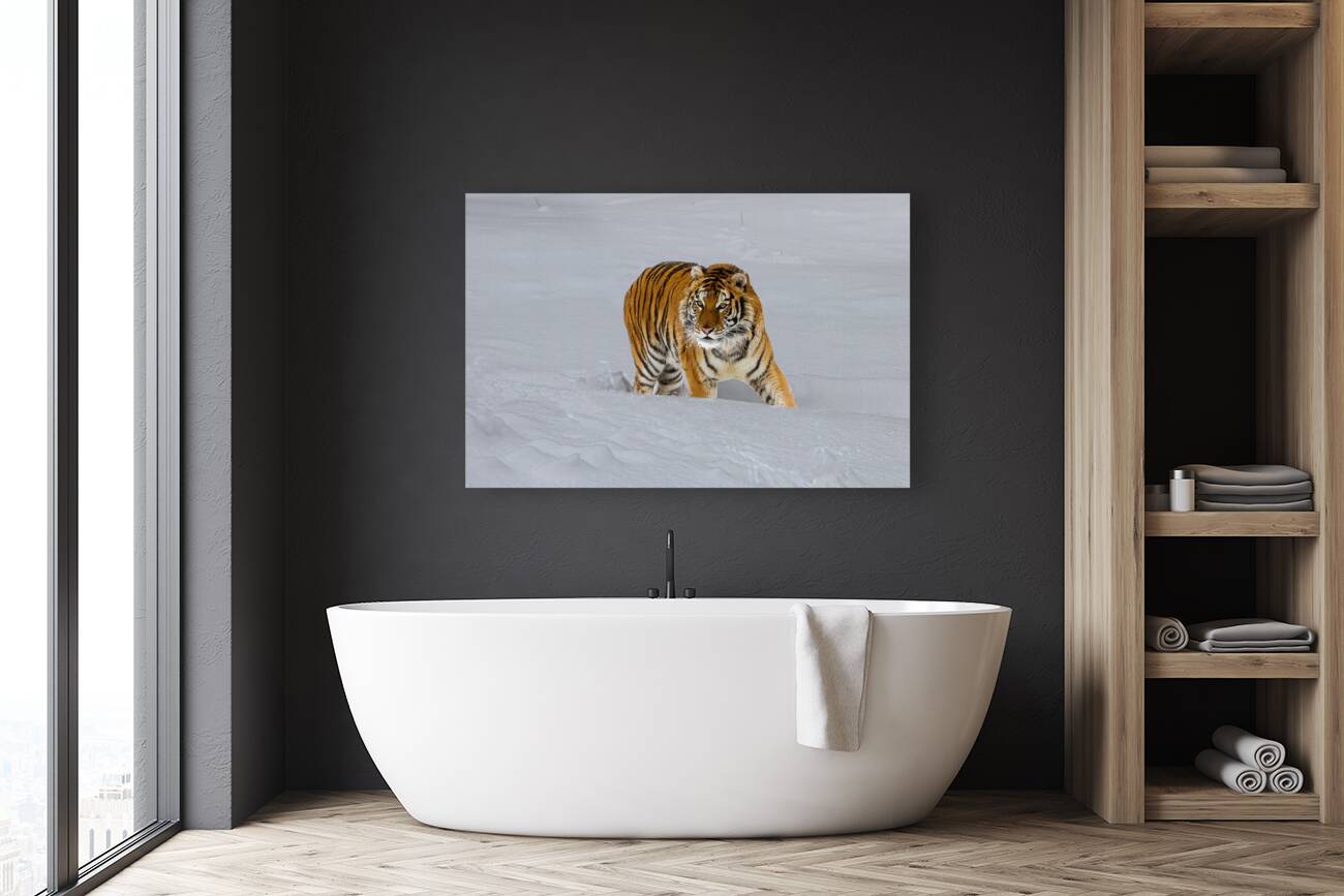ANI 02574 Reproduction