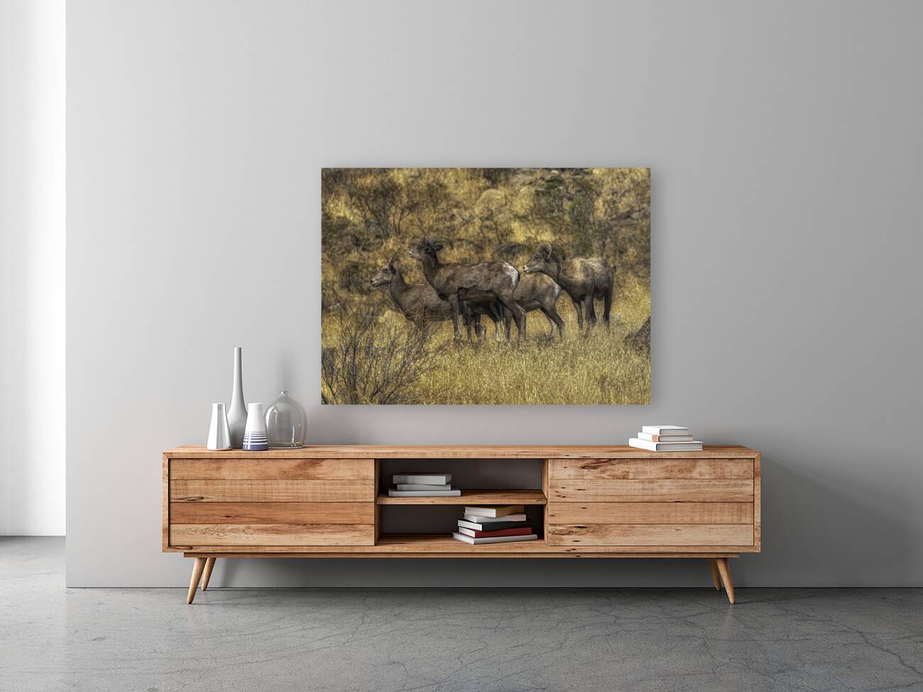 ANI 00113 Reproduction