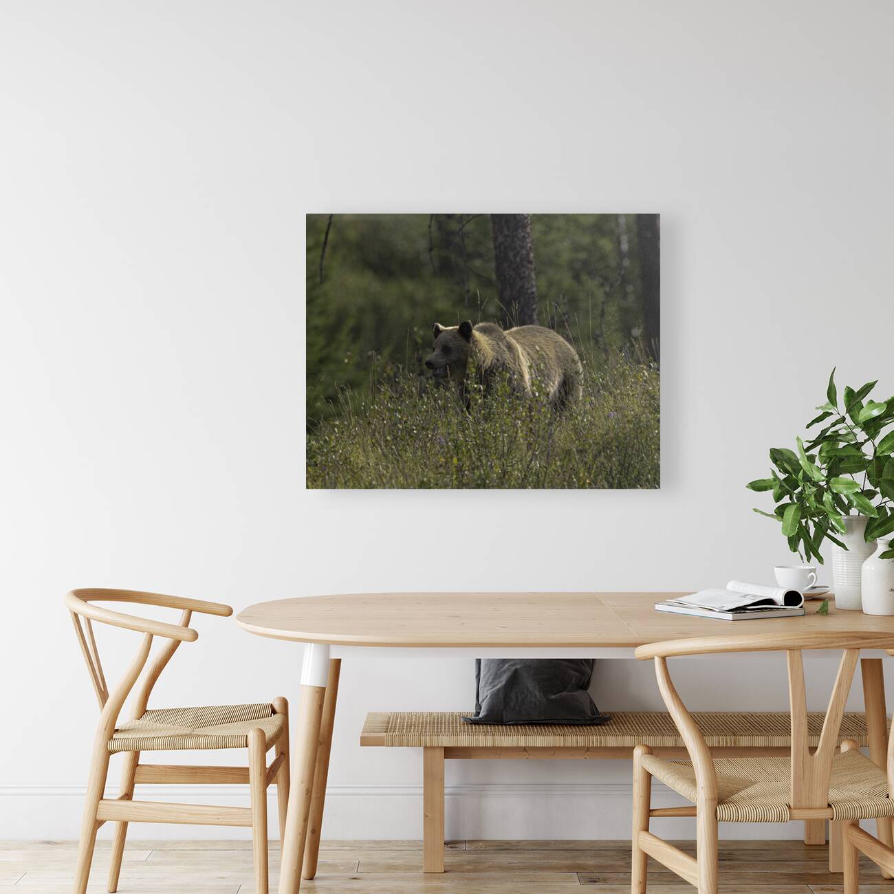 ANI 00119 Reproduction