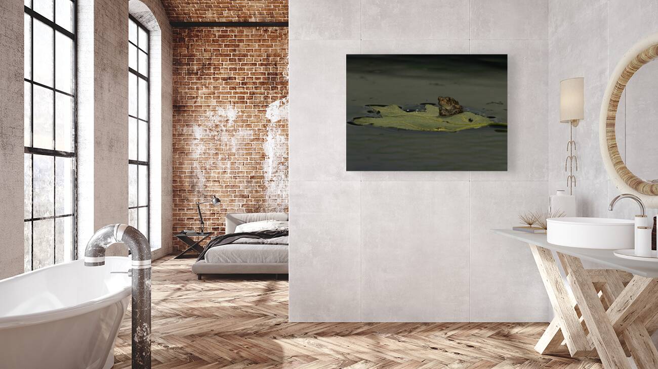 ANI 00095 Reproduction