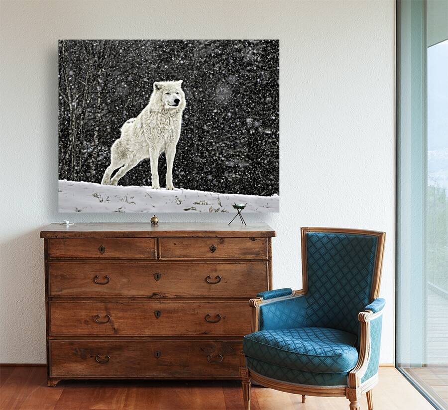 ANI 00104 Reproduction