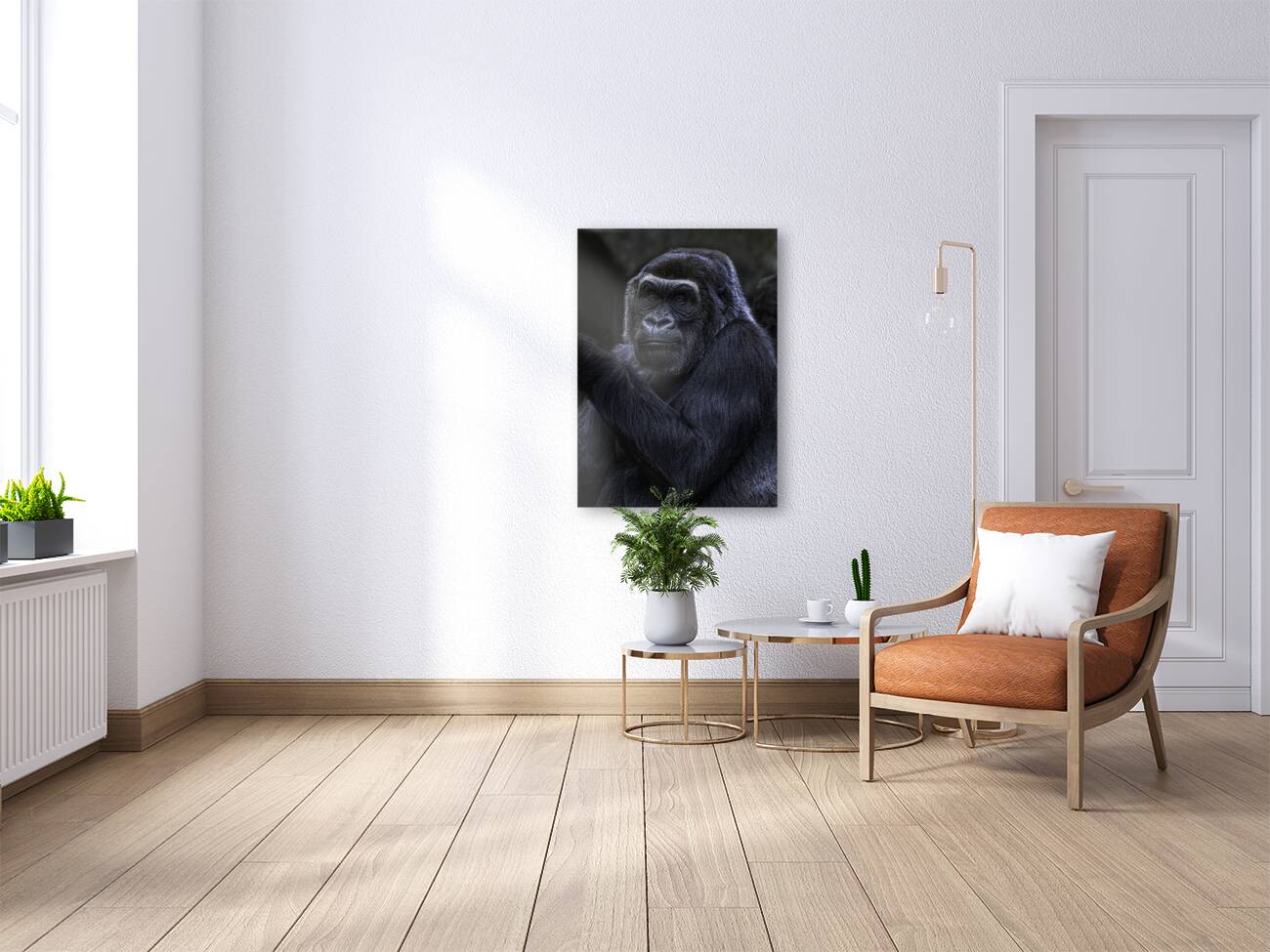 ANI 00103 Reproduction